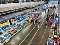 10월 19일 대천항 종합수산물시장 - 자유게시판 - 구미 싸리골 산악회 10월 19일 대천항 종합수산물시장 