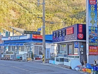 1/11 영덕블루로드(노물항-축산항, 아름다운 우리길 100선) - 여행/산행(국내/해외) 사진 - 도보여행(섬&산) 좋은사람들--버스매일출발 1/11... 