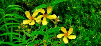 평화의길22코스 - 여행/산행(국내/해외) 사진 - 도보여행(섬&산) 좋은사람들--버스매일출발 평화의길22코스