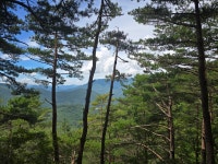 노추산 - 여행/산행(국내/해외) 사진 - 도보여행(섬&산) 좋은사람들--버스매일출발 노추산