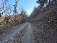 2026.02.09(월.무박), 남파랑길7-22(43코스+44코스 가천다랭이마을... 02.09(월.무박), 남파랑길7-22(43코스+44코스 가천다랭이마을-서상항)