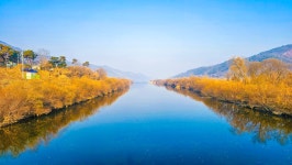 비내섬 비내길 (충북 충주) 25.12.07 - 여행/산행(국내/해외) 사진... (섬&산) 좋은사람들--버스매일출발 비내섬 비내길 (충북 충주) 25.12.07