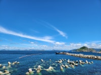 대매물도 - 희망여행스케치 - 성남 희망산악회 대매물도