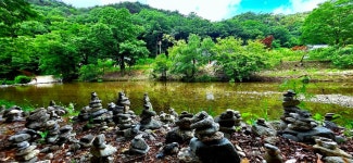 유구색동수국정원+마곡사 솔바람길(33관음성지)+공산성 - 여행/산행... 좋은사람들--버스매일출발 유구색동수국정원+마곡사 솔바람길... 