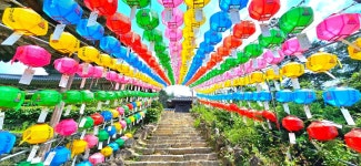 유구색동수국정원+마곡사 솔바람길(33관음성지)+공산성 - 여행/산행... 좋은사람들--버스매일출발 유구색동수국정원+마곡사 솔바람길... 
