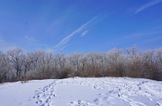 계방산+청태산/태기산 - 100 명산 - 도보여행(섬&산) 좋은사람들--버스매일출발 계방산+청태산/태기산