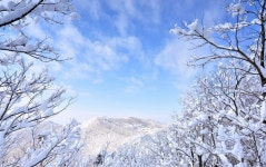 내변산(변산) - 100 명산 - 도보여행(섬&산) 좋은사람들--버스매일출발 내변산(변산)