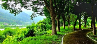 평화의길22코스 - 여행/산행(국내/해외) 사진 - 도보여행(섬&산) 좋은사람들--버스매일출발 평화의길22코스