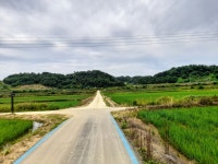 7월3일(일)평화누리길(대위리 검문소~ 신탄리역) - 여행/산행(국내/해외)... 버스매일출발 7월3일(일)평화누리길(대위리 검문소~ 신탄리역)