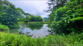 지리산 둘레길 9코스 (경남 산청) 21.07.04 - 여행/산행(국내/해외) 사진 - 도보여행(섬&산) 좋은사람들--버스매일출발 지리산 둘레길 9코스... 