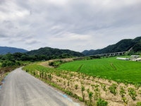 7월3일(일)평화누리길(대위리 검문소~ 신탄리역) - 여행/산행(국내/해외)... 버스매일출발 7월3일(일)평화누리길(대위리 검문소~ 신탄리역)