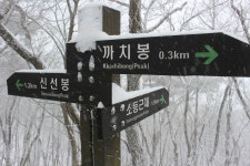 내장산 + 백암산/입암산 - 100 명산 - 도보여행(섬&산) 좋은사람들--버스매일출발 내장산 + 백암산/입암산