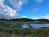 21(월.무박), 남파랑길7-13(25코스+26코스 탑포마을-청마기념관) - 여행/산행(국내/해외) 사진 - 도보여행(섬&산) 좋은사람들... 