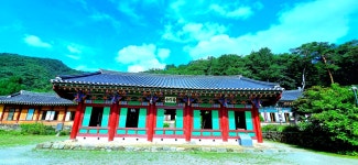 7/20 정선 항골 숨바우길+홍천 수타사 산소길 / 후리지아 대장님 - 여행... 7/20 정선 항골 숨바우길+홍천 수타사 산소길 / 후리지아 대장님