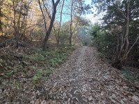 2026.02.09(월.무박), 남파랑길7-22(43코스+44코스 가천다랭이마을... 02.09(월.무박), 남파랑길7-22(43코스+44코스 가천다랭이마을-서상항)