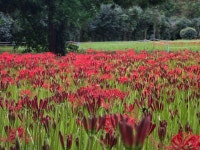 9.20.,서해랑길42코스(선운산) - 산행 후기,여행 후기 - 도보여행(섬&산) 좋은사람들--버스매일출발 9.20.,서해랑길42코스(선운산)