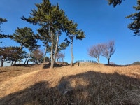 2026.02.09(월.무박), 남파랑길7-22(43코스+44코스 가천다랭이마을... 02.09(월.무박), 남파랑길7-22(43코스+44코스 가천다랭이마을-서상항)