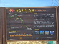낙동정맥 1구간 삼수령 ~ 통리주차장 - 산행 후기,여행 후기 - 도보여행(섬&산) 좋은사람들--버스매일출발 낙동정맥 1구간 삼수령 ~ 통리주차장