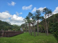 9.20.,서해랑길42코스(선운산) - 산행 후기,여행 후기 - 도보여행(섬&산) 좋은사람들--버스매일출발 9.20.,서해랑길42코스(선운산)