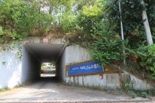 지리산둘레길 20구간 : 폭염의 고통과 완주의 환희 - 여행/산행(국내/해외) 사진 - 도보여행(섬&산) 좋은사람들--버스매일출발 지리산둘레길... 