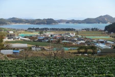 2025년11월2 28,29(금 무박) 서해랑길 7+8코스: 용장성~귀성삼거리... 2025년11월2 28,29(금 무박) 서해랑길 7+8코스: 용장성~귀성삼거리