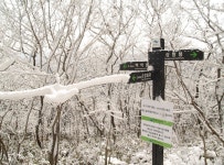 내장산 + 백암산/입암산 - 100 명산 - 도보여행(섬&산) 좋은사람들--버스매일출발 내장산 + 백암산/입암산