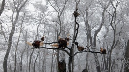 ＜명산100+＞ 고성 연화산 - 100명산 플러스 - 도보여행(섬&산) 좋은사람들--버스매일출발 도보여행(섬&산) 좋은사람들--버스매일출발