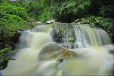 지리산 둘레길 5코스 (경남 산청) 21.07.06 - 여행/산행(국내/해외) 사진 - 도보여행(섬&산) 좋은사람들--버스매일출발 지리산 둘레길 5코스... 