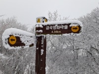 축령산(장성) - 100 명산 - 도보여행(섬&산) 좋은사람들--버스매일출발 축령산(장성) 