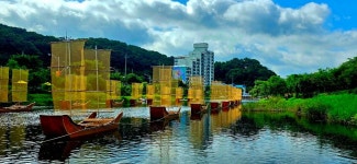 유구색동수국정원+마곡사 솔바람길(33관음성지)+공산성 - 여행/산행... 좋은사람들--버스매일출발 유구색동수국정원+마곡사 솔바람길... 