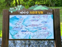 2026.06.16(화) 화순 백아산 산행 - 희망여행스케치 - 성남 희망산악회 2026.06.16(화) 화순 백아산 산행