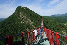 하늘길+출렁다리 - 여행/산행(국내/해외) 사진 - 도보여행(섬&산) 좋은사람들--버스매일출발 하늘길+출렁다리