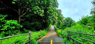 평화의길22코스 - 여행/산행(국내/해외) 사진 - 도보여행(섬&산) 좋은사람들--버스매일출발 평화의길22코스