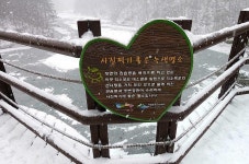 내변산(변산) - 100 명산 - 도보여행(섬&산) 좋은사람들--버스매일출발 내변산(변산)