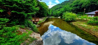유구색동수국정원+마곡사 솔바람길(33관음성지)+공산성 - 여행/산행... 좋은사람들--버스매일출발 유구색동수국정원+마곡사 솔바람길... 