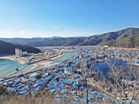 1/11 영덕블루로드(노물항-축산항, 아름다운 우리길 100선) - 여행/산행(국내/해외) 사진 - 도보여행(섬&산) 좋은사람들--버스매일출발 1/11... 