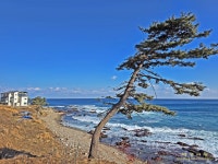 1/11 영덕블루로드(노물항-축산항, 아름다운 우리길 100선) - 여행/산행(국내/해외) 사진 - 도보여행(섬&산) 좋은사람들--버스매일출발 1/11... 