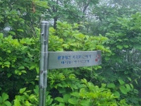 대간39-39 포암산 - 대간 + 맥산행 사진 - 도보여행(섬&산) 좋은사람들--버스매일출발 대간39-39 포암산