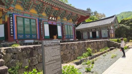 전남진도 첨찰산 쌍계사 동백 숲길..운림산방.♤♤♤♤♤ - 여행/산행... 좋은사람들--버스매일출발 전남진도 첨찰산 쌍계사 동백 숲길..운림산방.... 