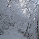 내장산 + 백암산/입암산 - 100 명산 - 도보여행(섬&산) 좋은사람들--버스매일출발 내장산 + 백암산/입암산