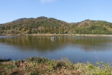 2025년11월2 28,29(금 무박) 서해랑길 7+8코스: 용장성~귀성삼거리... 2025년11월2 28,29(금 무박) 서해랑길 7+8코스: 용장성~귀성삼거리