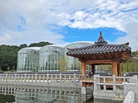 10/16(목) 수목원투어(광주시립수목원, 구례수목원, 지리산정원) - 여행/산행(국내/해외) 사진 - 도보여행(섬&산) 좋은사람들--버스매일출발 10/16... 