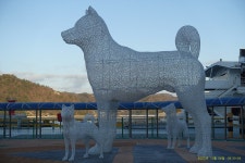 2025년12월5.6일 서해랑길 9+10코스 귀성삼거리~가치버스정류장 - 산행 후기,여행 후기 - 도보여행(섬&산) 좋은사람들--버스매일출발... 