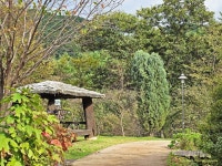 10/16(목) 수목원투어(광주시립수목원, 구례수목원, 지리산정원) - 여행/산행(국내/해외) 사진 - 도보여행(섬&산) 좋은사람들--버스매일출발 10/16... 