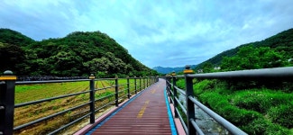 평화의길22코스 - 여행/산행(국내/해외) 사진 - 도보여행(섬&산) 좋은사람들--버스매일출발 평화의길22코스