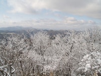 내장산 + 백암산/입암산 - 100 명산 - 도보여행(섬&산) 좋은사람들--버스매일출발 내장산 + 백암산/입암산