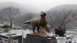 ＜명산100+＞ 고성 연화산 - 100명산 플러스 - 도보여행(섬&산) 좋은사람들--버스매일출발 도보여행(섬&산) 좋은사람들--버스매일출발