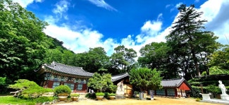 유구색동수국정원+마곡사 솔바람길(33관음성지)+공산성 - 여행/산행... 좋은사람들--버스매일출발 유구색동수국정원+마곡사 솔바람길... 