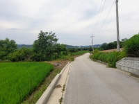 7월3일(일)평화누리길(대위리 검문소~ 신탄리역) - 여행/산행(국내/해외)... 버스매일출발 7월3일(일)평화누리길(대위리 검문소~ 신탄리역)