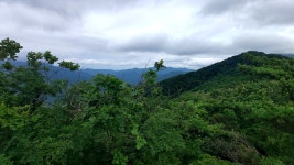 7/3 [가평, 화악산~애기봉~수덕산] - 여행/산행(국내/해외) 사진 - 도보여행(섬&산) 좋은사람들--버스매일출발 7/3 [가평, 화악산~애기봉~수덕산]